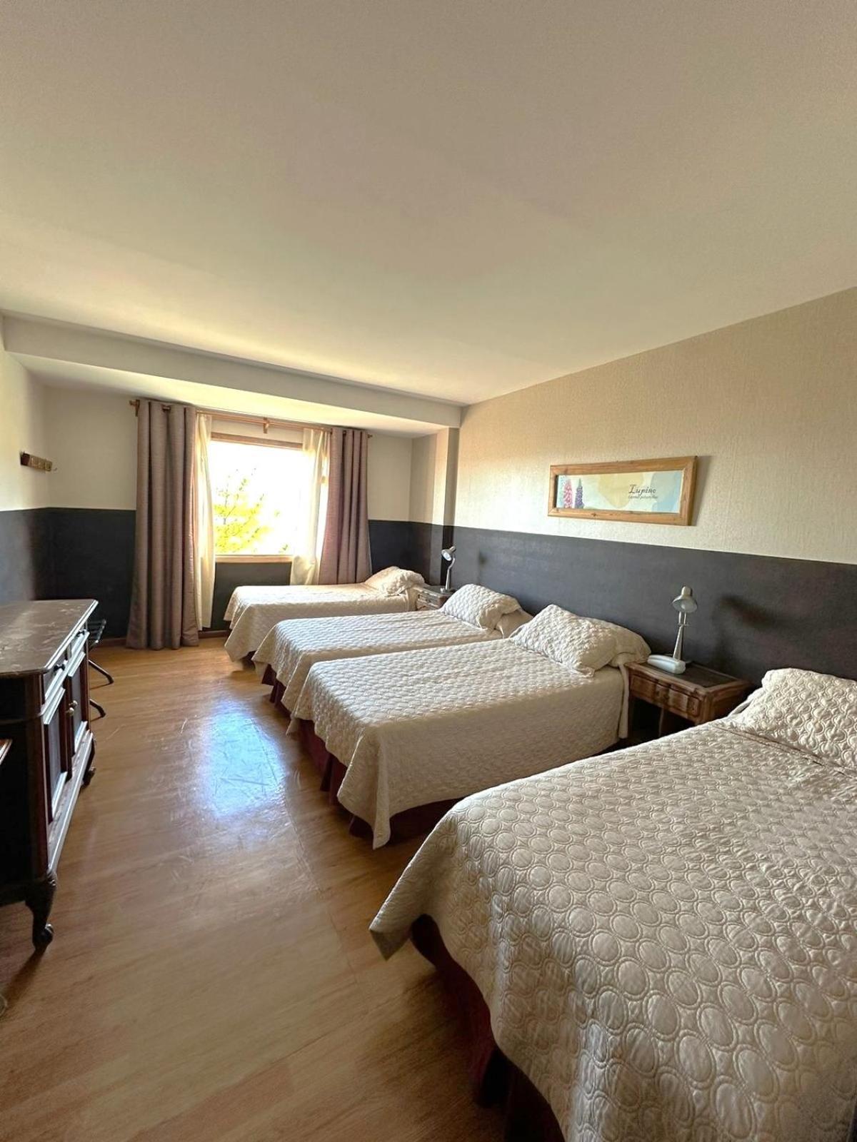 Meulen Hosteria Y Apart 엘 칼라파테 객실 사진
